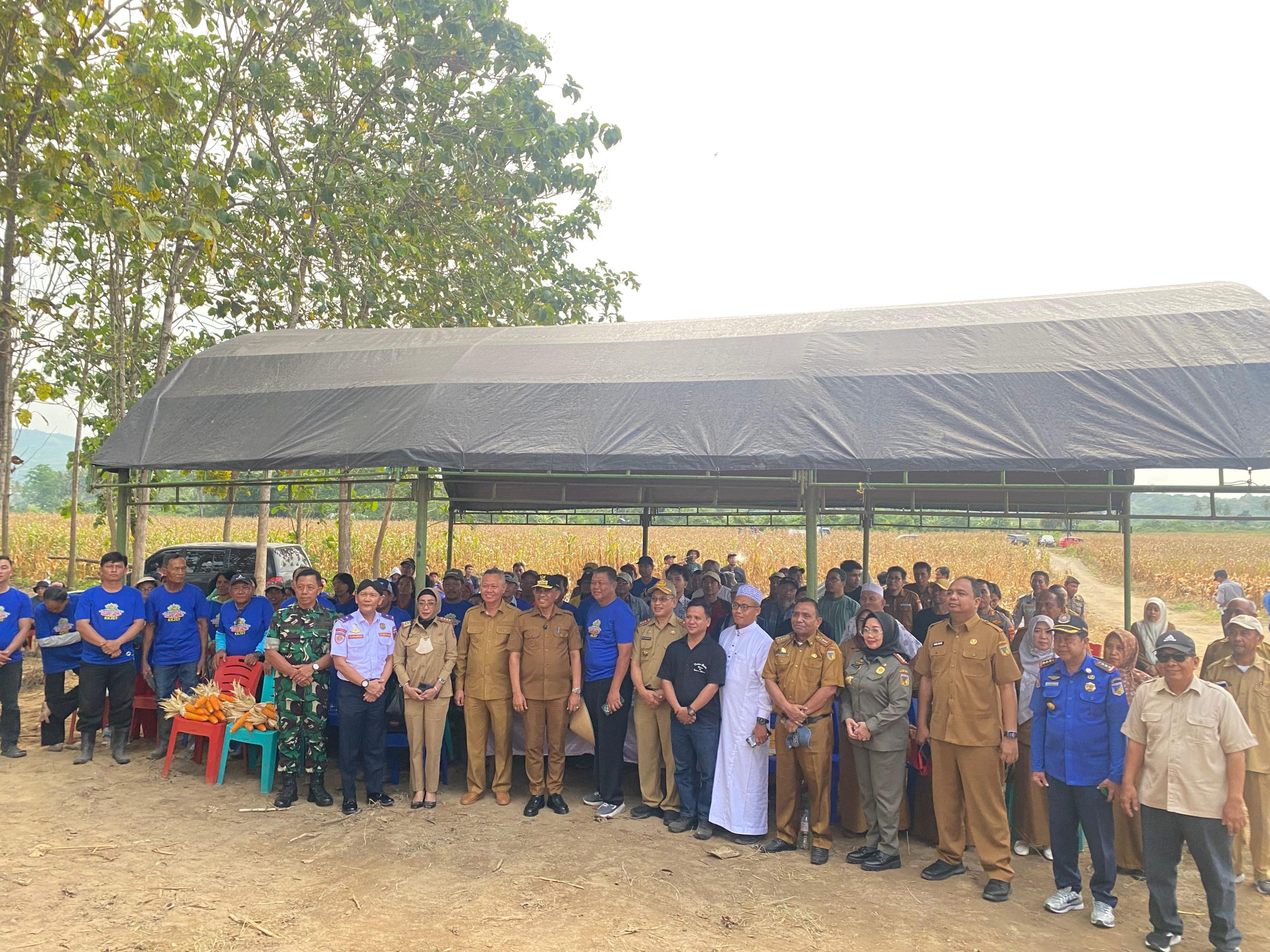 IMG-20250812-WA0018 IMG-20250812-WA0018